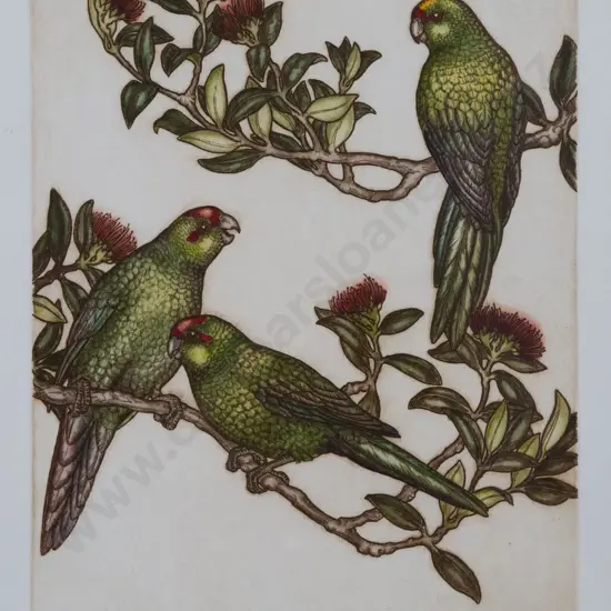 Mary E Taylor (b 1948) - New Zealand Heritage II: Kakariki
