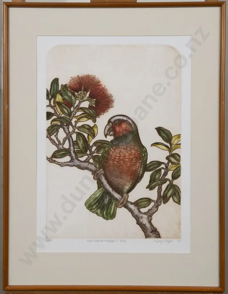Mary E Taylor (b 1948) - New Zealand Heritage I: Kaka Image 1++