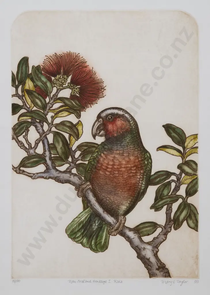 Mary E Taylor (b 1948) - New Zealand Heritage I: Kaka Image 1++