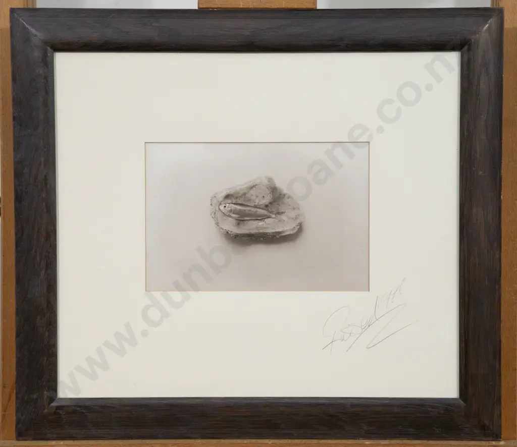 Russell - Fish in Oyster Shell Image 1++