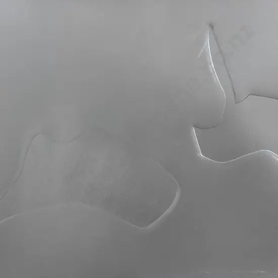 Tanya Ashken (b 1939) - Silver Whale Shadows