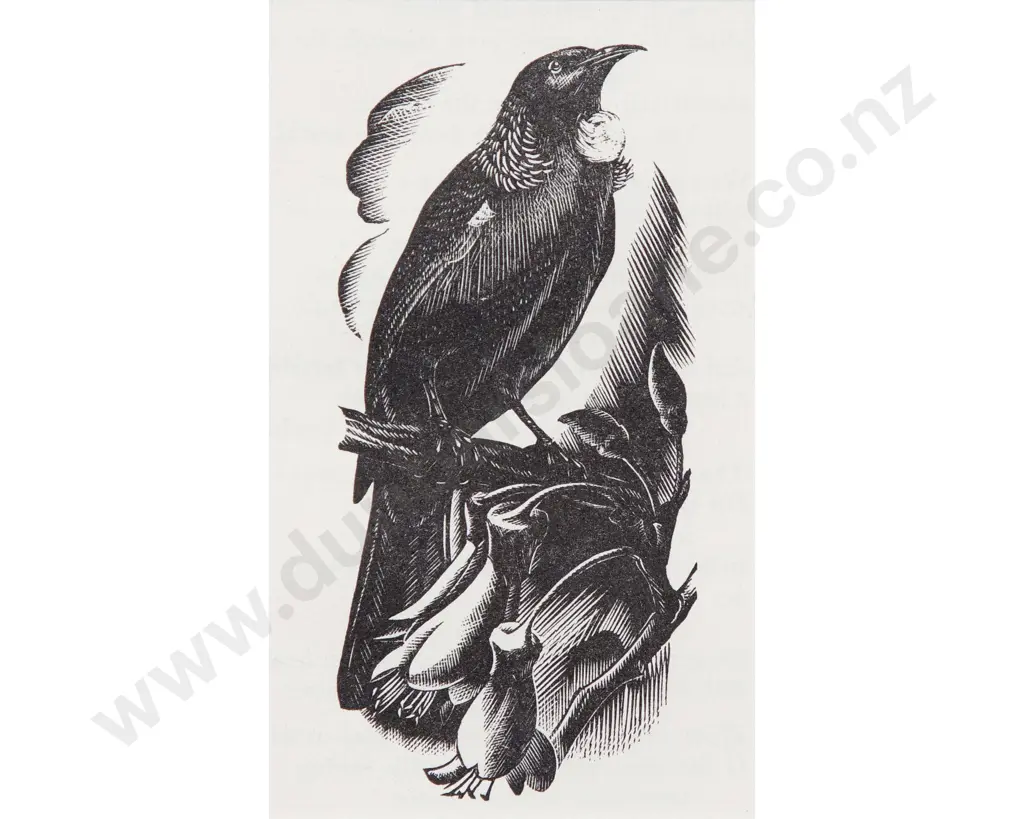 E Mervyn Taylor (1906 - 1964) - Tui Image 1++