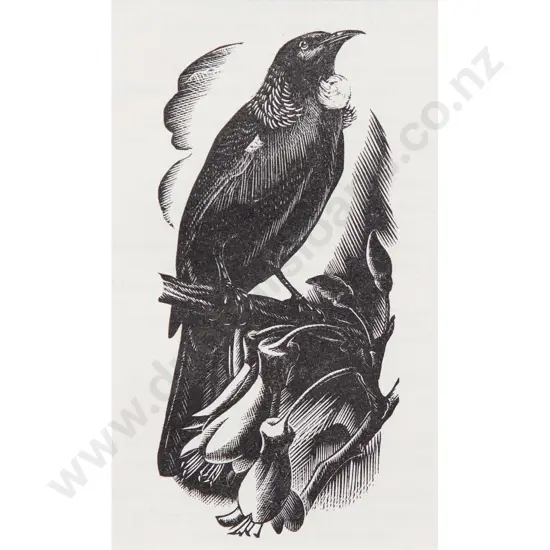 E Mervyn Taylor (1906 - 1964) - Tui