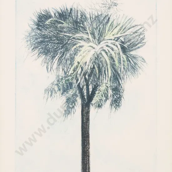 Shona McFarlane (1929 - 2001) - Cabbage Tree II