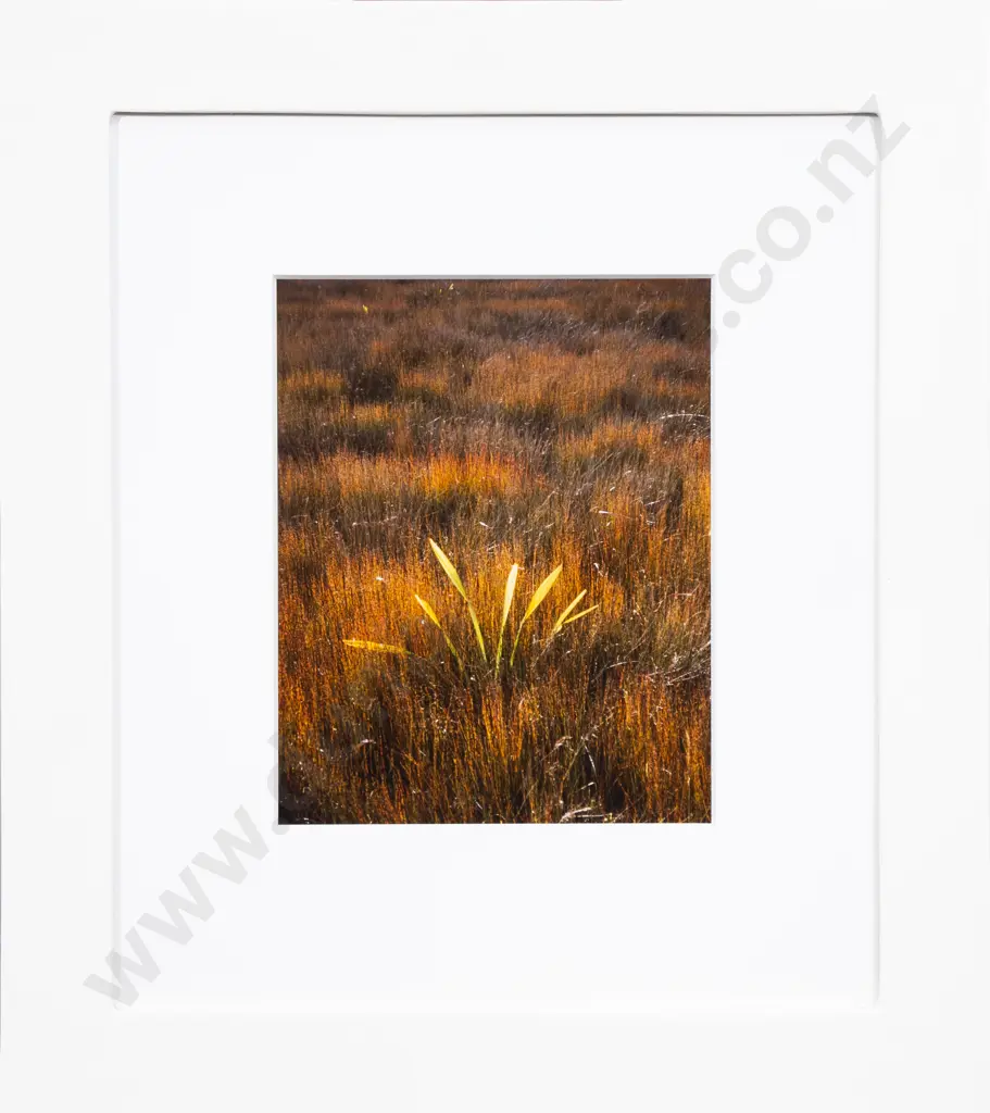 Julia Brooke-White - Pauahatanui Image 1++