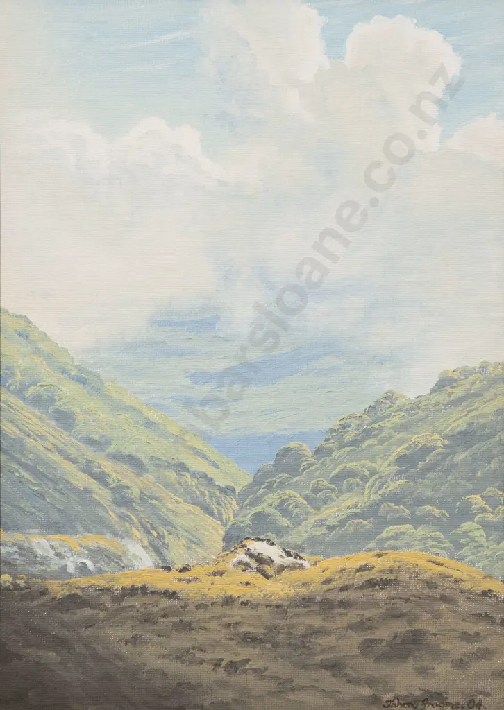 Johnny Groome (b 1973) - High above Ahaura Image 1++