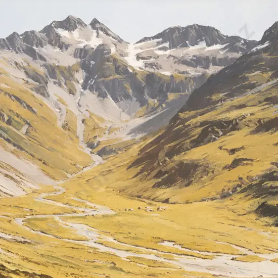 Graham Taylor - Mt Mahanga