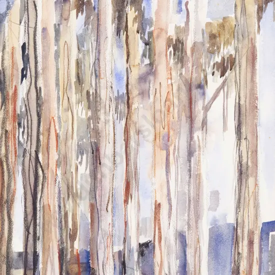 Nancy M Adams  (1926 - 2007) -  Eucalyptus Trees