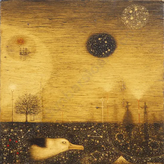 Frith Wilkinson - Night Vision