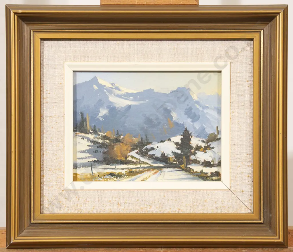 Neil Bartlett - South Island Landscape Image 1++