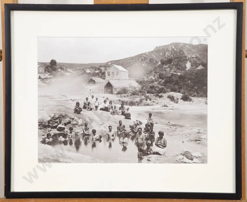 Muir & Moodie - In the Ngawhas Whakarewarewa Image 1++