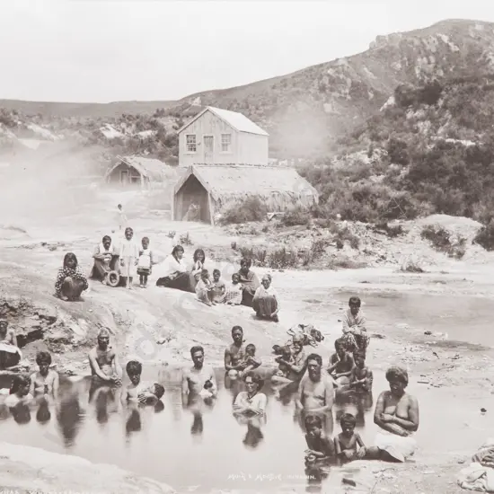 Muir & Moodie - In the Ngawhas Whakarewarewa