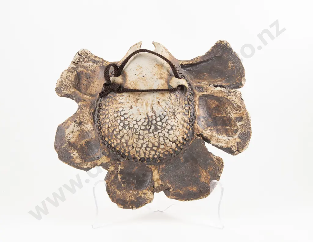 Large Len Castle Hanging Sedge Vase Image 1++