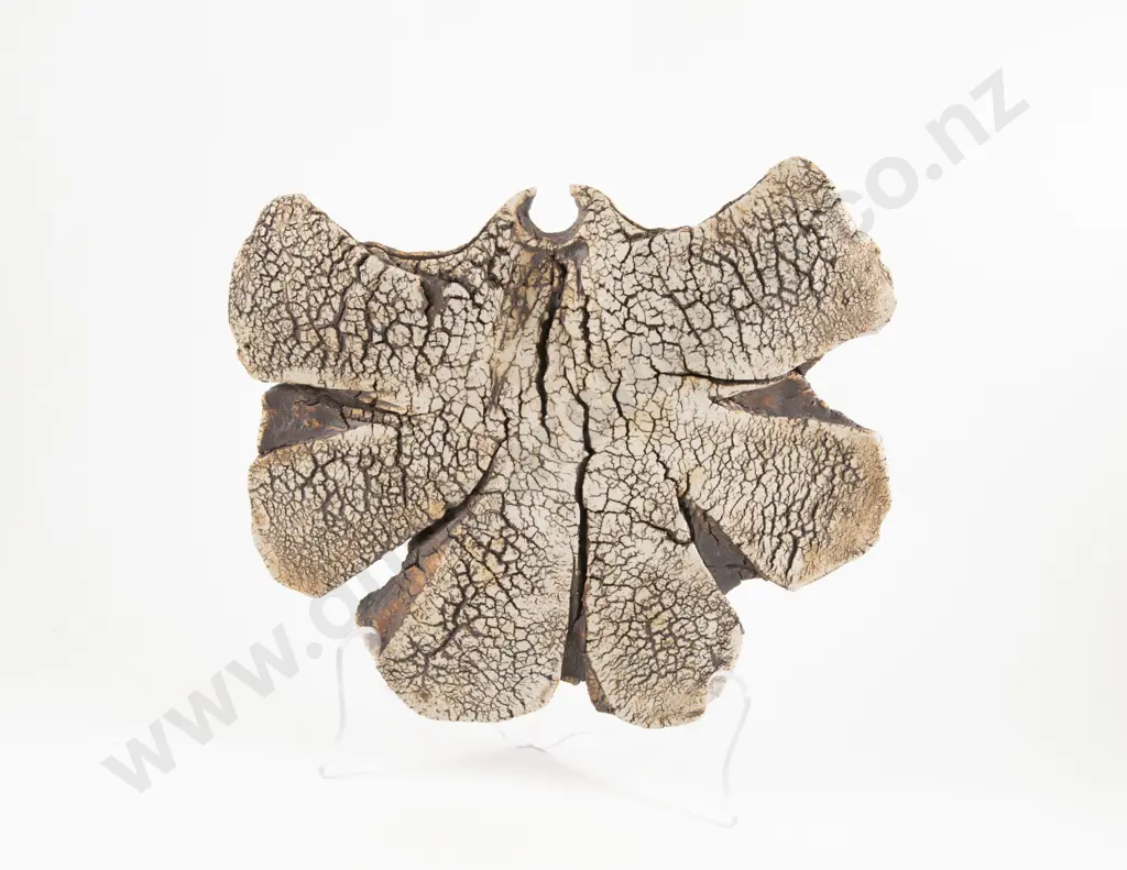 Large Len Castle Hanging Sedge Vase Image 1++