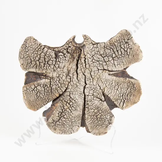 Large Len Castle Hanging Sedge Vase