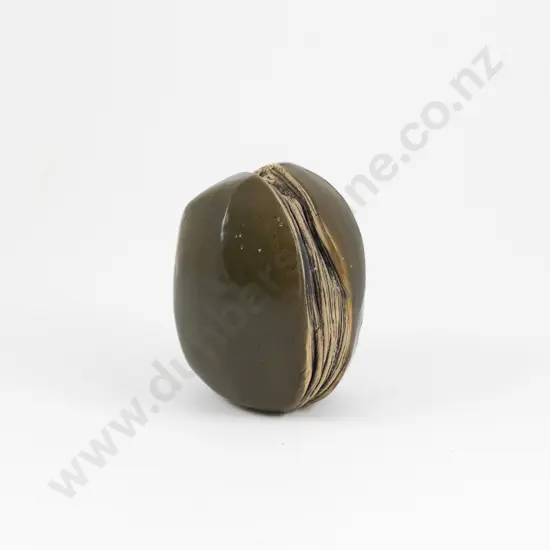 Evelyn Kelly Sedge Vase