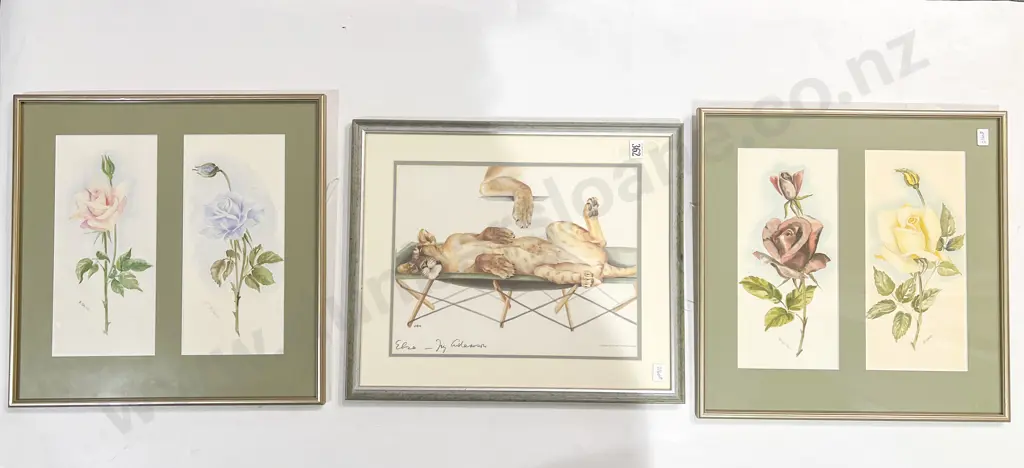 Two Framed Botanical Studies together with Other Image 1++