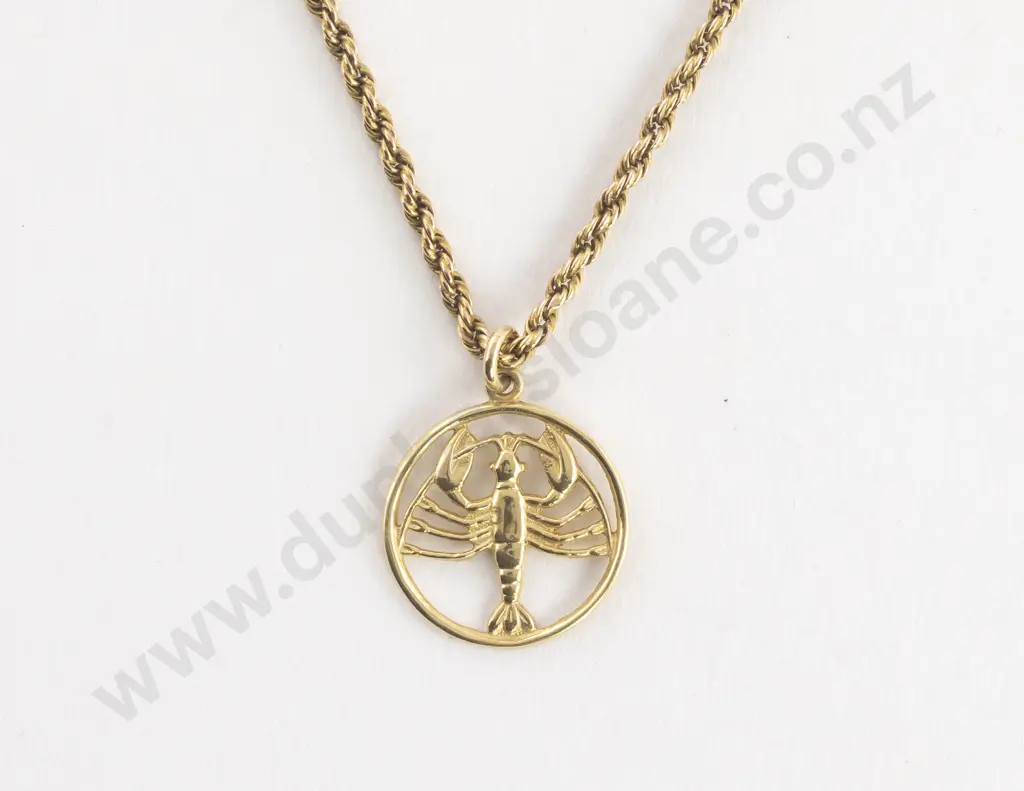 18ct Circular Scorpion Pendant on 14ct Modern Fancy Link Chain Image 1++