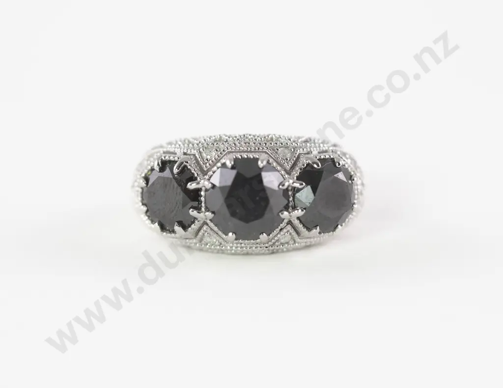 14ct White Gold 21Stone Black Diamond Ring Image 1++