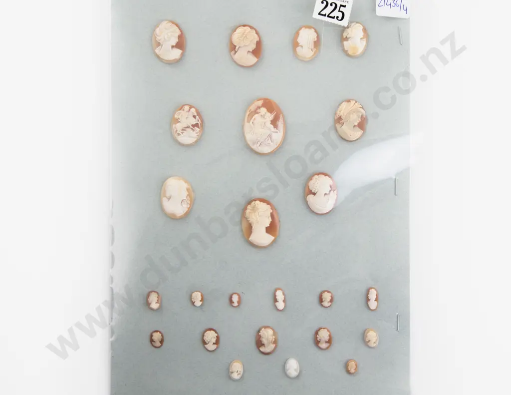 Collection of Unmounted Cameos Image 1++