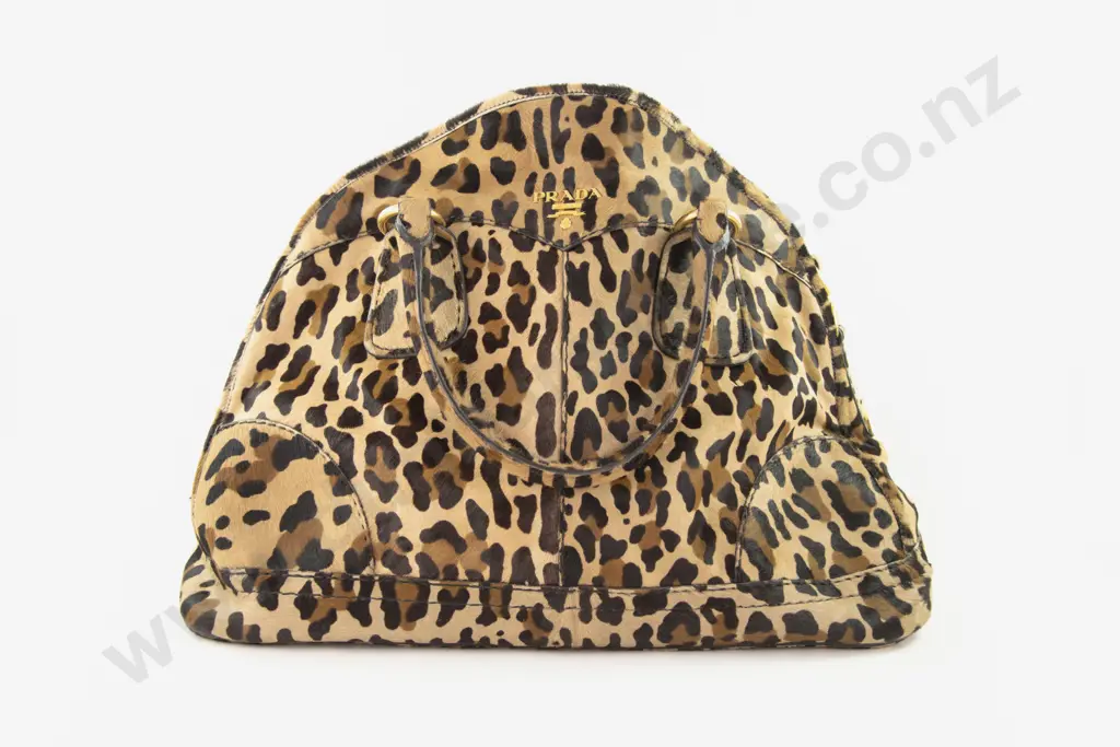 Prada Leopard Print Calf Hair Bowler Bag Image 1++