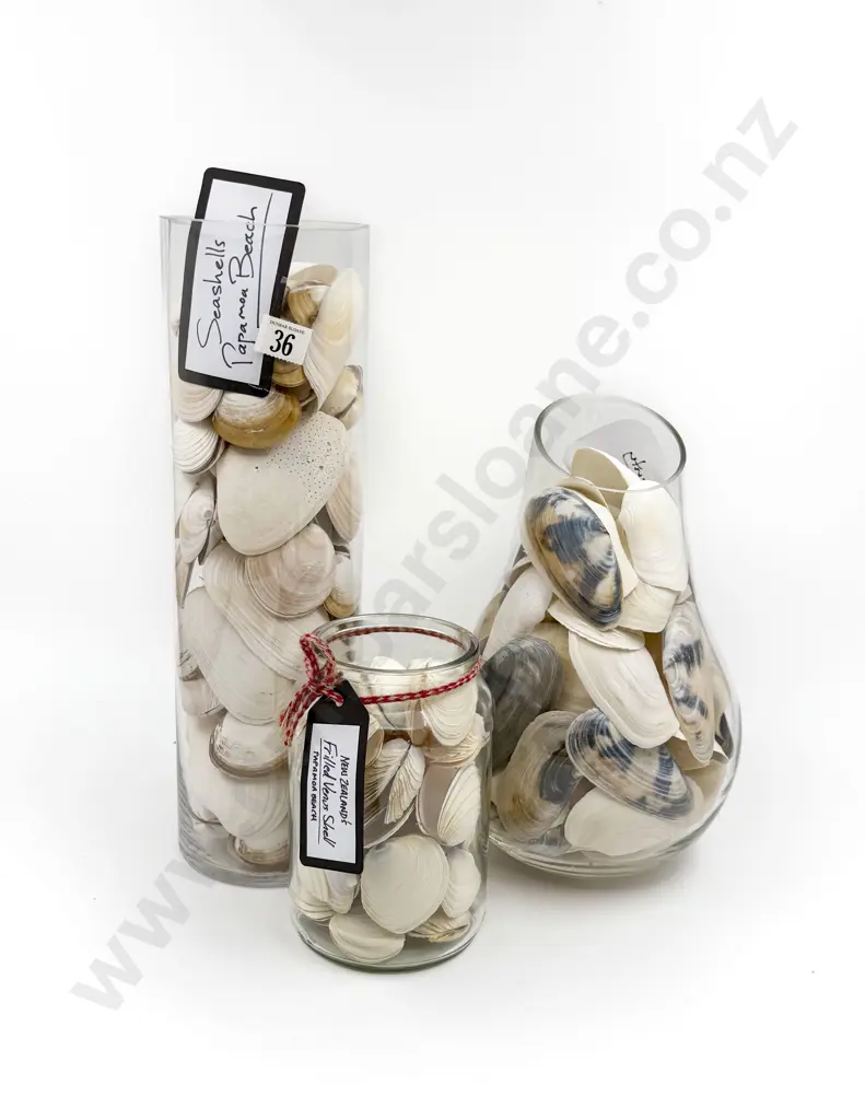 Three Jars of Assorted Seashells Image 1++