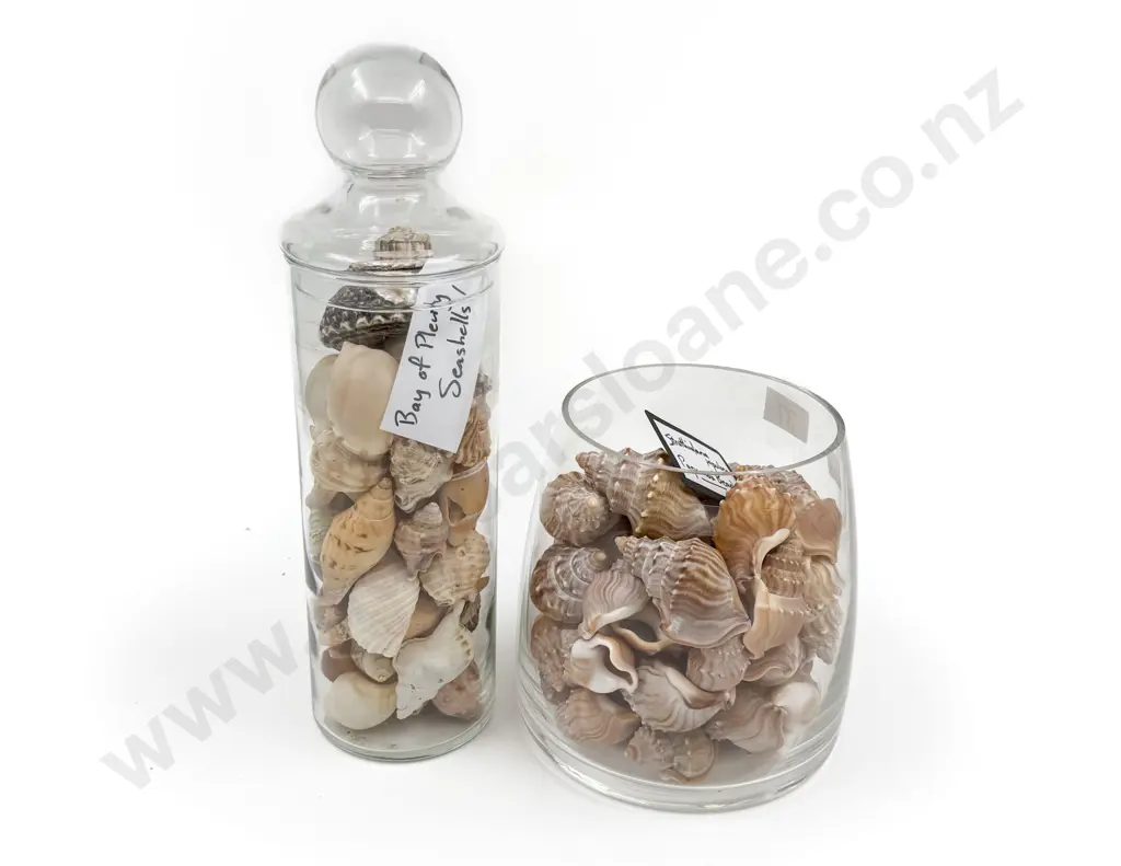 Two Jars of Assorted Seashells Image 1++