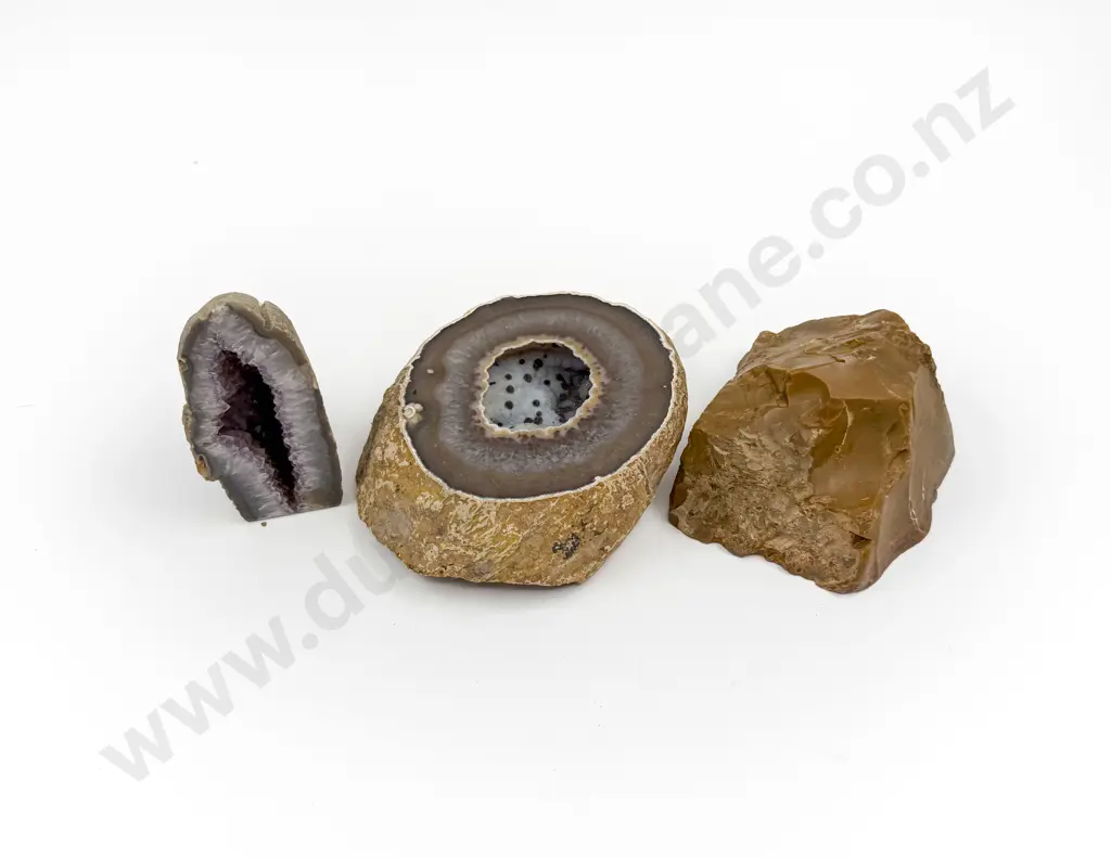 Amethyst Geode together with Fossiled Wood & Other Image 1++