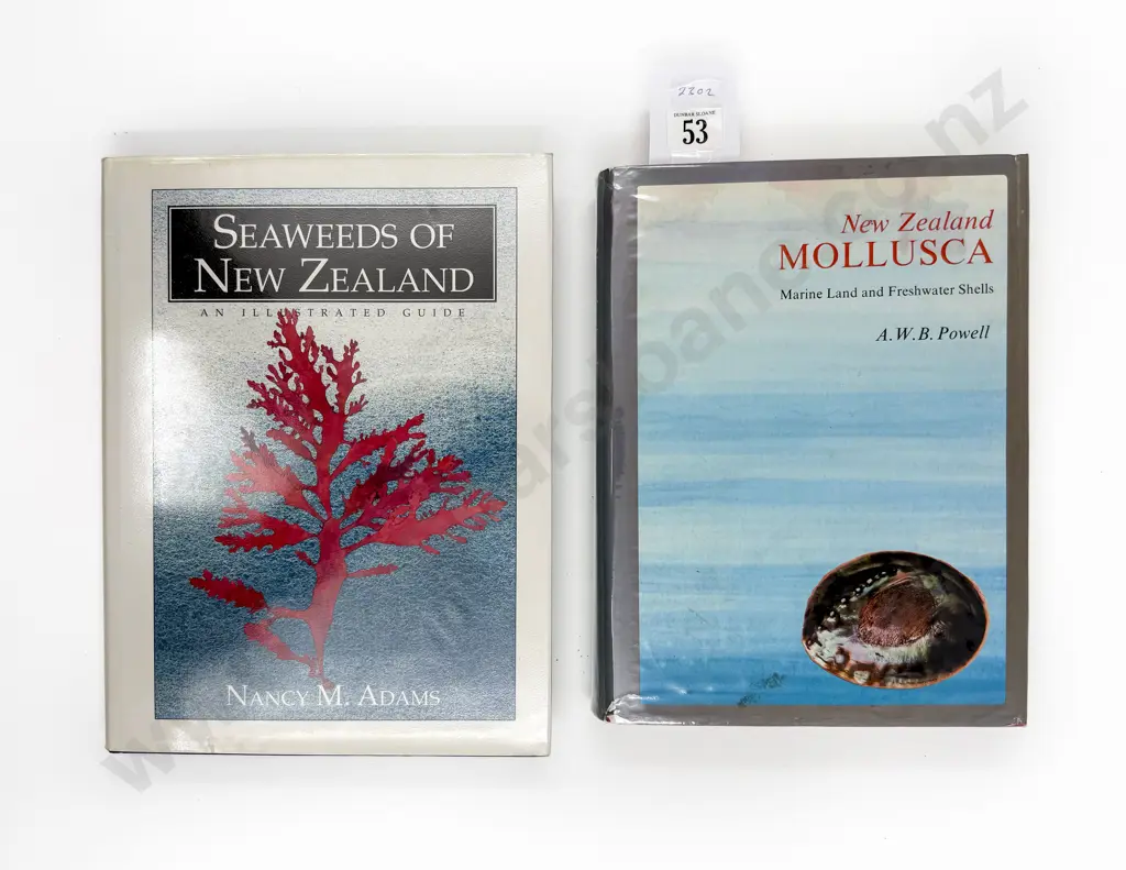 Two NZ Reference Books including Seaweeds of NZ & NZ Mollusca Image 1++