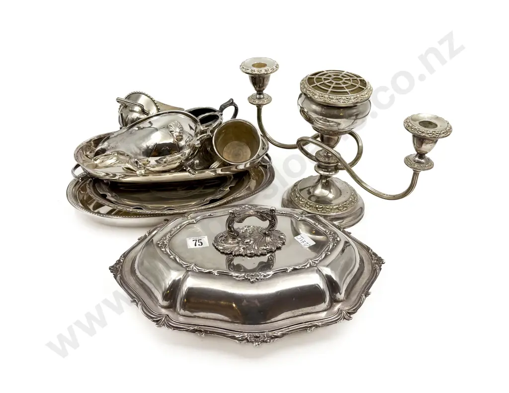 Quantity of Assorted S/P incl Serving Dish Image 1++