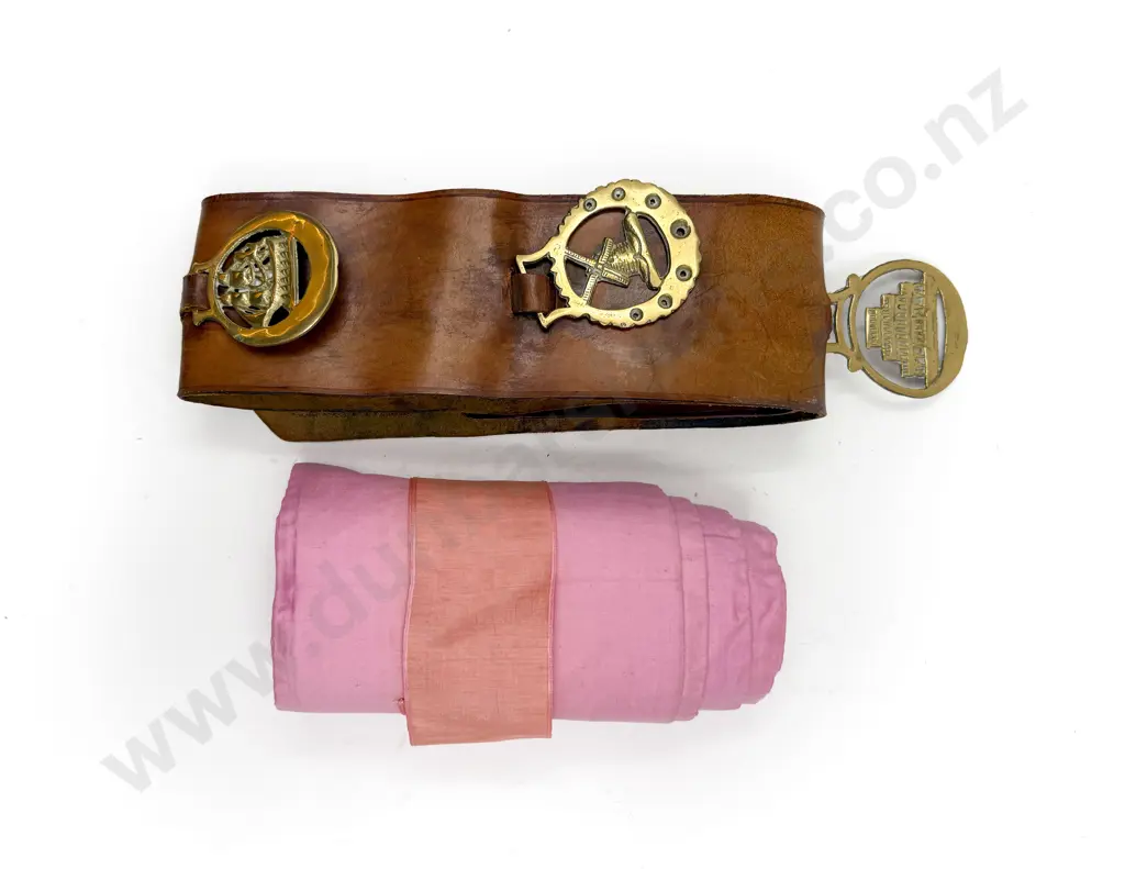 Leather Horse Brass Display & Sampler Image 1++