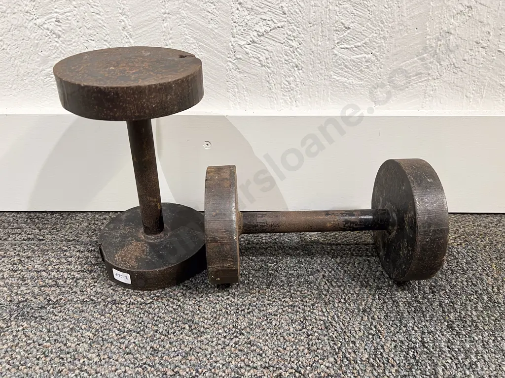 Pair Hand Weights Image 1++