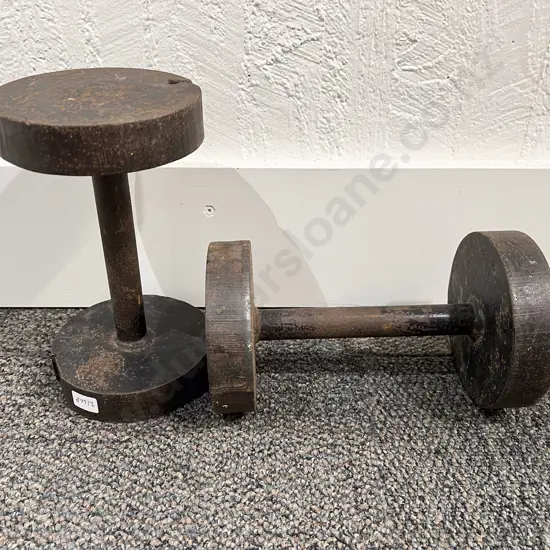 Pair Hand Weights