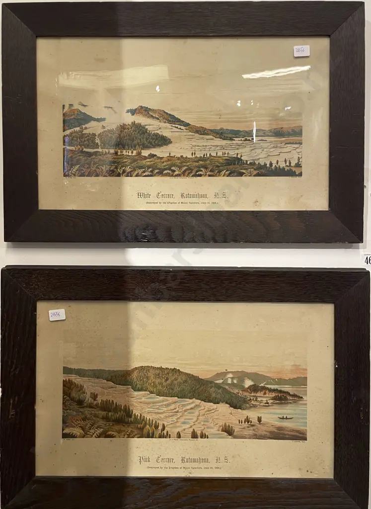 After A. D. Willis - Pink & White Terraces - Reproduction Prints (2) - A/F Image 1++