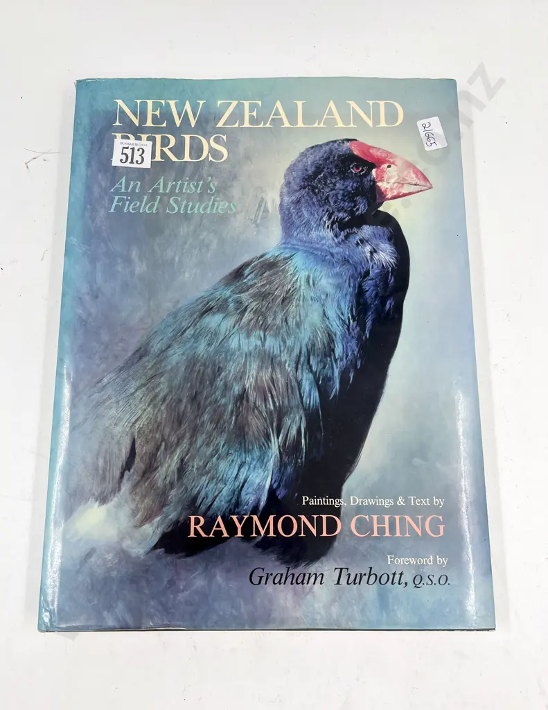 NZ Birds by Raymond Ching Image 1++