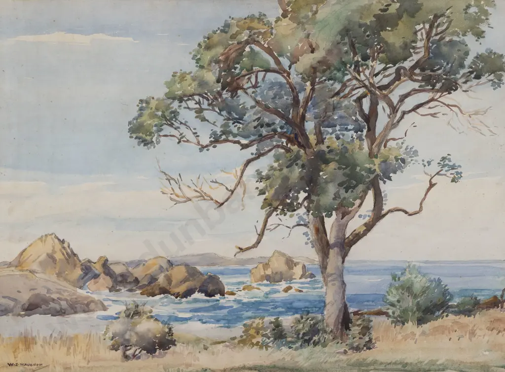 W S Wauchop - Goose Bay Kaikoura Image 1++
