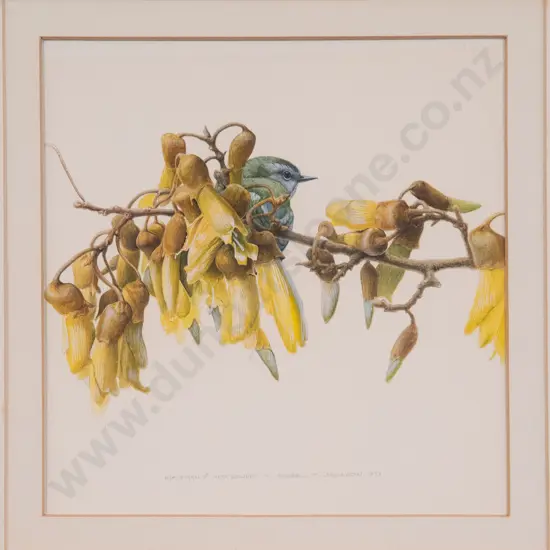 Russell M. Jackson (b 1947) - Rifleman and Kowhai