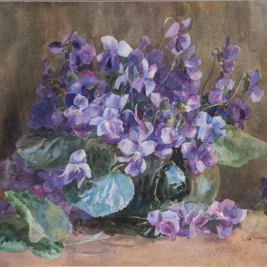 Rosa Spencer Bower - Violet Study