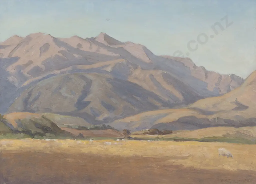 W E Richardson - South Island Landscape Image 1++