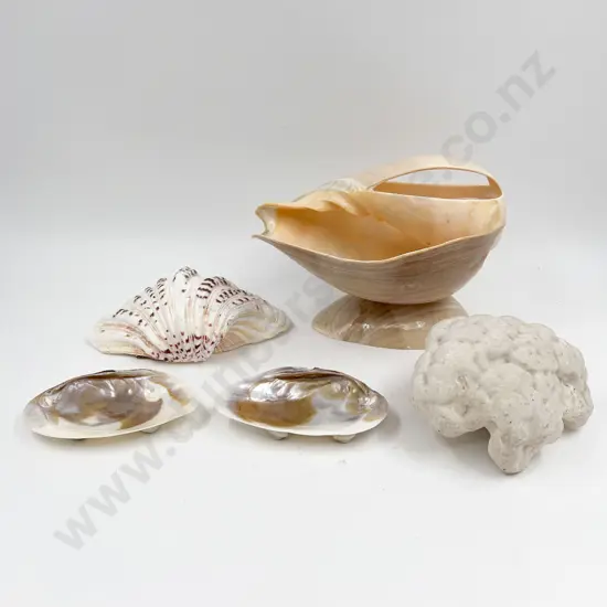 Quantity of Assorted Decorative Shells & Large Coral Piece