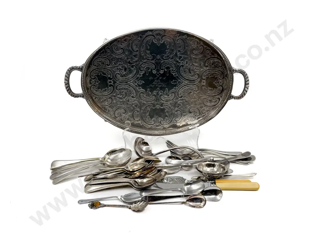 Quantity of Assorted S/P on Plated Tray Image 1++