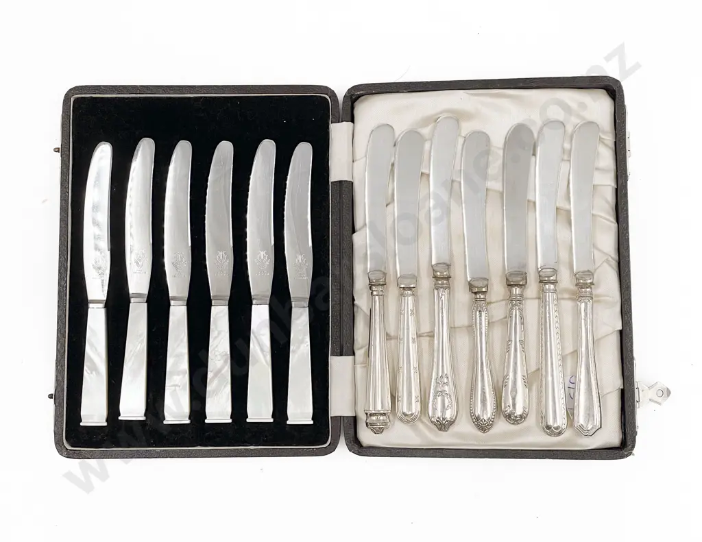 Six MOP Handled Knives together with Seven Assorted S/S Handled Knives Image 1++