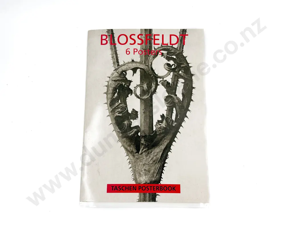 Blossfeldt 6 Poster Posterbook Image 1++