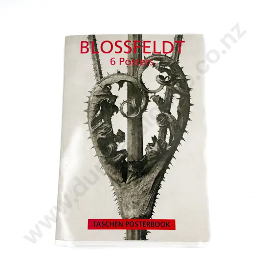 Blossfeldt 6 Poster Posterbook