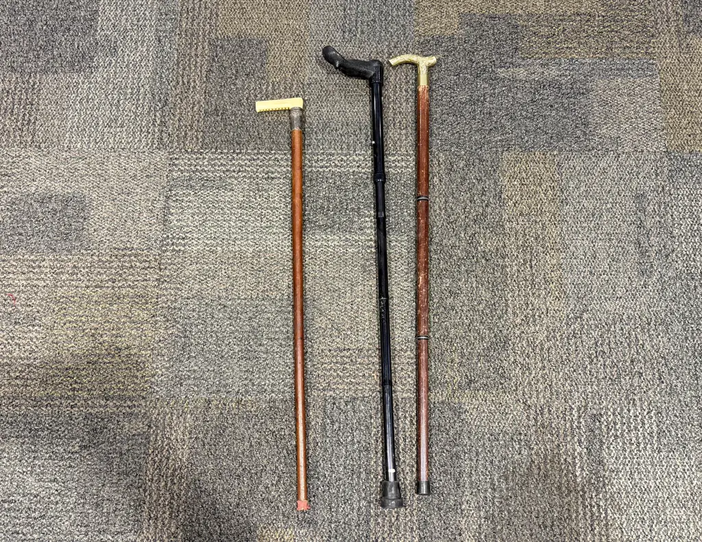 Bone Handled & S/S Rimmed Walking Stick & Three Others Image 1++