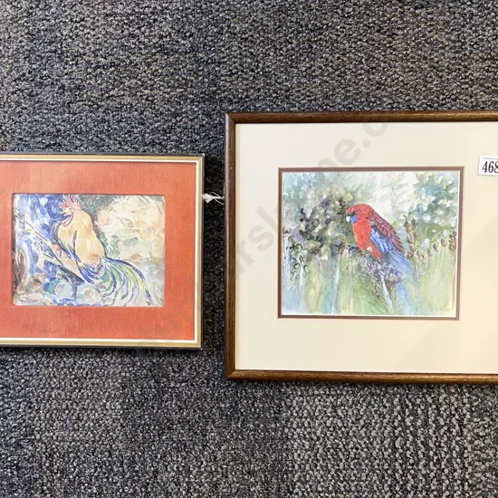C. Paterson - Bird Study & Other Bird Study