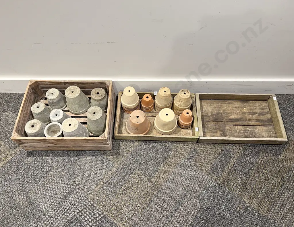 Two Trays Of Assorted Small Plant Pots Image 1++