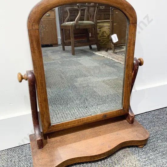 Toilet Swing Mirror