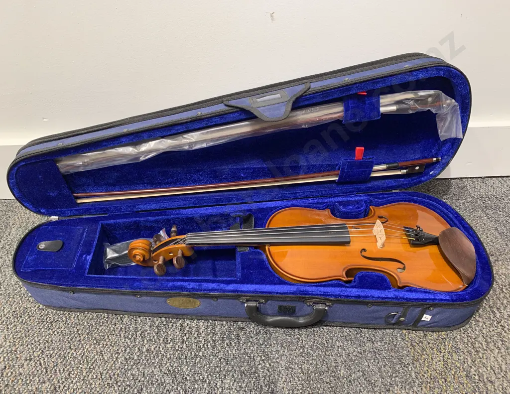 Stentor Violin In Case Image 1++