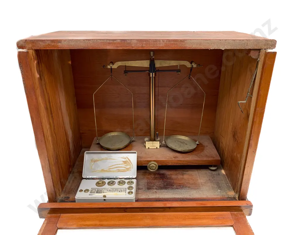 Cased Scientific Balance Scales Image 1++
